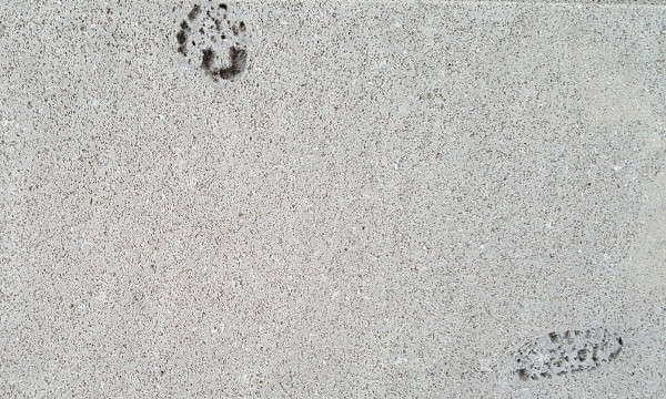 levigatura