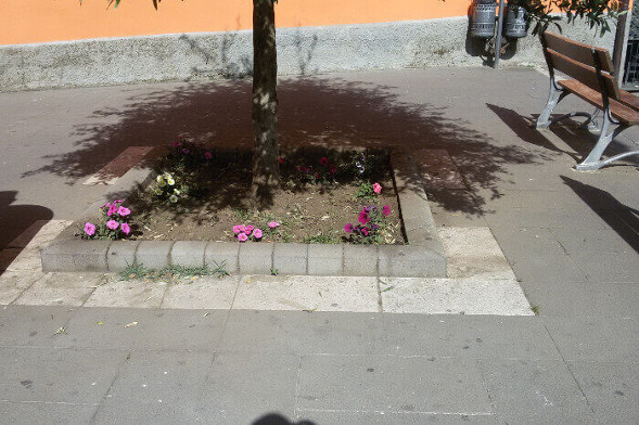 bordo-albero-pietra-lavica-12